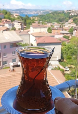 Yurdumuzun İçerisi